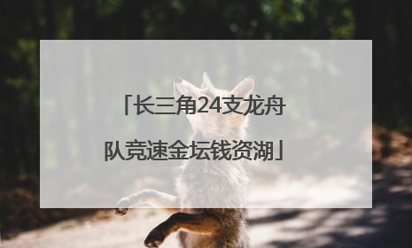 长三角24支龙舟队竞速金坛钱资湖