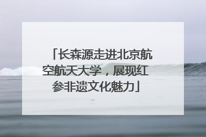 长森源走进北京航空航天大学，展现红参非遗文化魅力