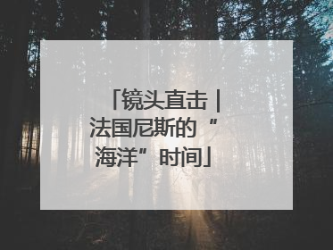 镜头直击｜法国尼斯的“海洋”时间