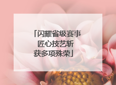 闪耀省级赛事  匠心技艺斩获多项殊荣