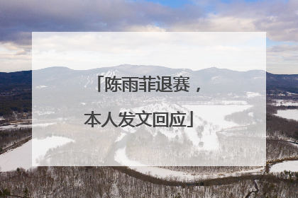 陈雨菲退赛，本人发文回应