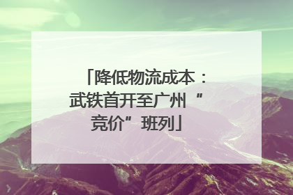 降低物流成本：武铁首开至广州“竞价”班列