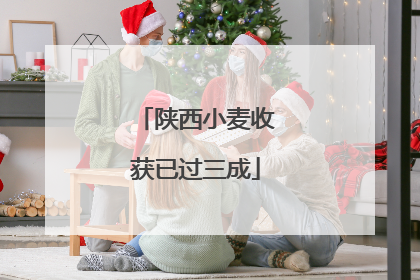 陕西小麦收获已过三成