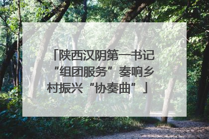 陕西汉阴第一书记“组团服务”奏响乡村振兴“协奏曲”