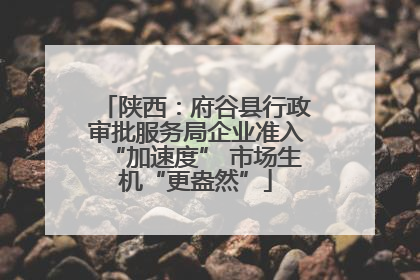 陕西：府谷县行政审批服务局企业准入“加速度” 市场生机“更盎然”