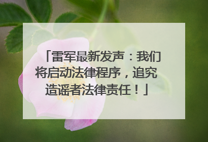 雷军最新发声：我们将启动法律程序，追究造谣者法律责任！