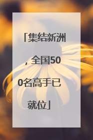 集结新洲，全国500名高手已就位