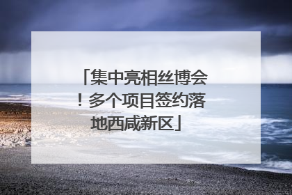 集中亮相丝博会！多个项目签约落地西咸新区