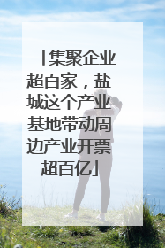 集聚企业超百家，盐城这个产业基地带动周边产业开票超百亿