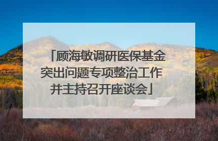 顾海敏调研医保基金突出问题专项整治工作并主持召开座谈会