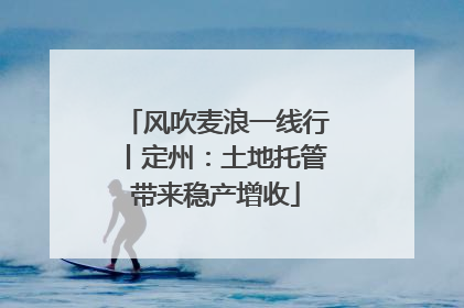 风吹麦浪一线行丨定州：土地托管带来稳产增收