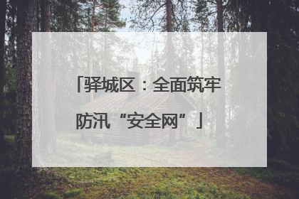 驿城区：全面筑牢防汛“安全网”