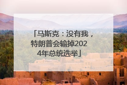马斯克：没有我，特朗普会输掉2024年总统选举