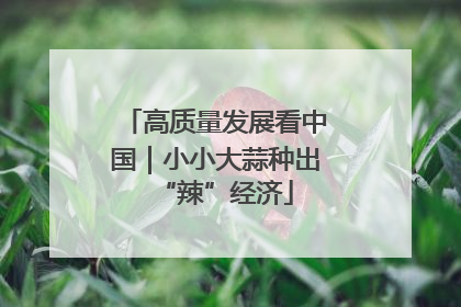 高质量发展看中国｜小小大蒜种出“辣”经济
