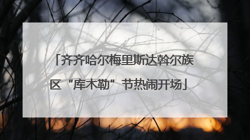 齐齐哈尔梅里斯达斡尔族区“库木勒”节热闹开场