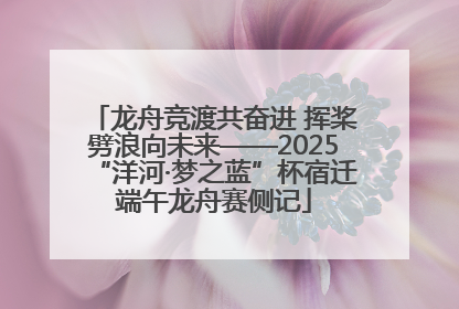 龙舟竞渡共奋进 挥桨劈浪向未来——2025“洋河·梦之蓝”杯宿迁端午龙舟赛侧记