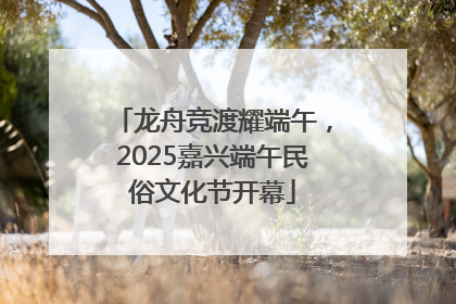 龙舟竞渡耀端午，2025嘉兴端午民俗文化节开幕