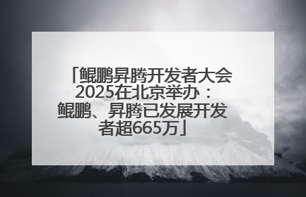 鲲鹏昇腾开发者大会2025在北京举办：鲲鹏、昇腾已发展开发者超665万