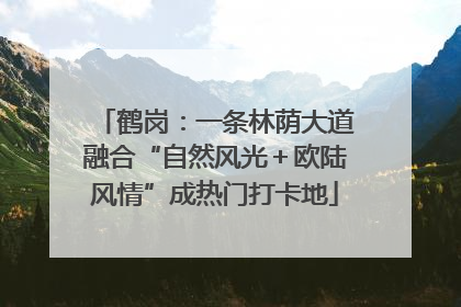 鹤岗：一条林荫大道融合“自然风光＋欧陆风情”成热门打卡地