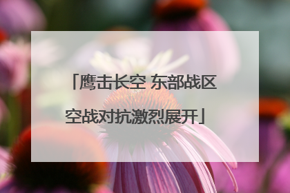 鹰击长空 东部战区空战对抗激烈展开