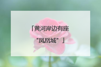 黄河岸边有座“凤凰城”