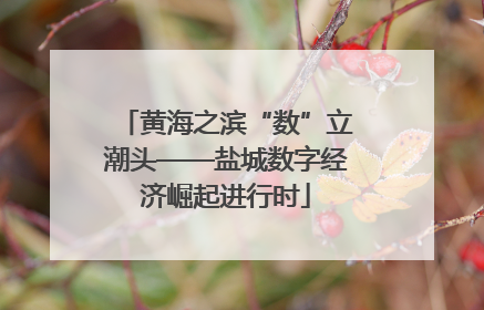 黄海之滨“数”立潮头——盐城数字经济崛起进行时