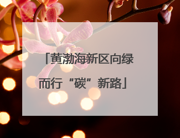 黄渤海新区向绿而行“碳”新路