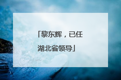 黎东辉，已任湖北省领导