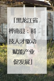 黑龙江省桦南县：科技人才驱动 赋能产业促发展