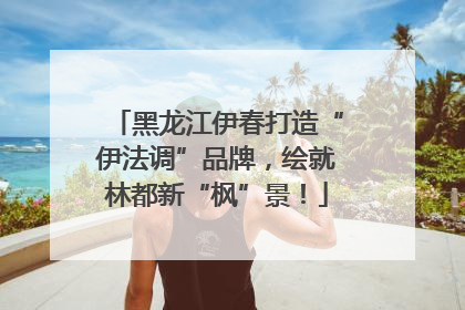 黑龙江伊春打造“伊法调”品牌，绘就林都新“枫”景！