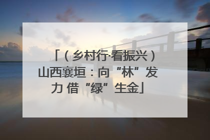 （乡村行·看振兴）山西襄垣：向“林”发力 借“绿”生金