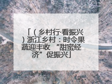 （乡村行·看振兴）浙江乡村：时令果蔬迎丰收 “甜蜜经济”促振兴