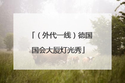 （外代一线）德国国会大厦灯光秀