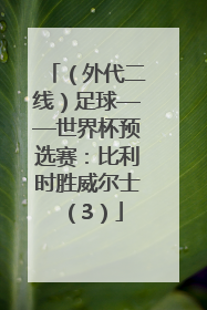 （外代二线）足球——世界杯预选赛：比利时胜威尔士（3）
