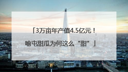 3万亩年产值4.5亿元！喻屯甜瓜为何这么“甜”