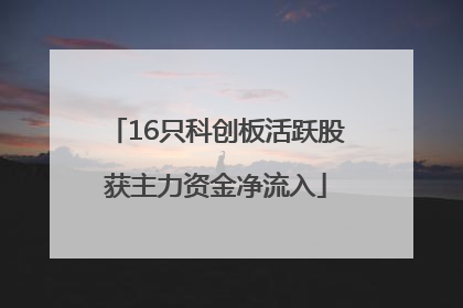16只科创板活跃股获主力资金净流入