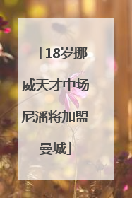 18岁挪威天才中场尼潘将加盟曼城