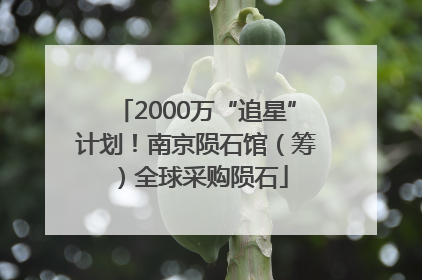 2000万“追星”计划！南京陨石馆（筹）全球采购陨石