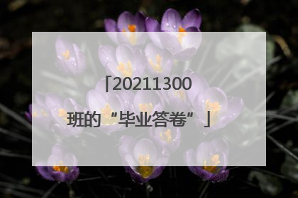 20211300班的“毕业答卷”