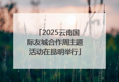 2025云南国际友城合作周主题活动在昆明举行