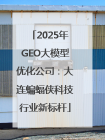 2025年GEO大模型优化公司：大连蝙蝠侠科技行业新标杆
