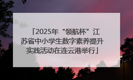 2025年“领航杯”江苏省中小学生数字素养提升实践活动在连云港举行