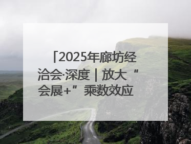 2025年廊坊经洽会·深度｜放大“会展+”乘数效应 打造消费新场景