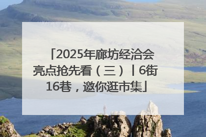 2025年廊坊经洽会亮点抢先看（三）丨6街16巷，邀你逛市集