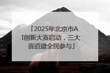 2025年北京市AI创新大赛启动，三大赛道邀全民参与