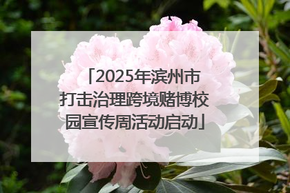 2025年滨州市打击治理跨境赌博校园宣传周活动启动