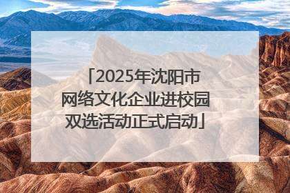 2025年沈阳市网络文化企业进校园双选活动正式启动