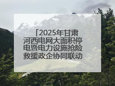 2025年甘肃河西电网大面积停电暨电力设施抢险救援政企协同联动综合应急演练在武威成功举行