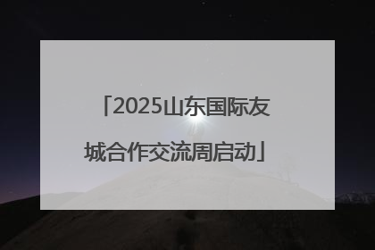 2025山东国际友城合作交流周启动