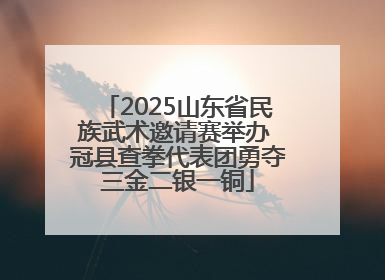 2025山东省民族武术邀请赛举办 冠县查拳代表团勇夺三金二银一铜